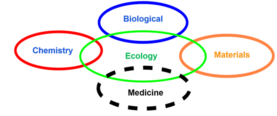 D66E5603115A7DF608B5B35D27F_C04DD5F8_13DE9.png D66E5603115A7DF608B5B35D27F_C04DD5F8_13DE9.png