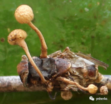 640 (4).png 640 (4).png