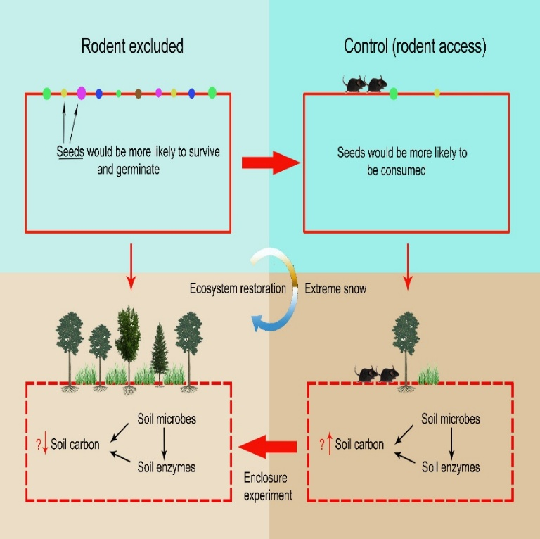 6D56BF87BB8ECBB4DD55BC64EAA_1F6E5373_4AE3B.png 6D56BF87BB8ECBB4DD55BC64EAA_1F6E5373_4AE3B.png