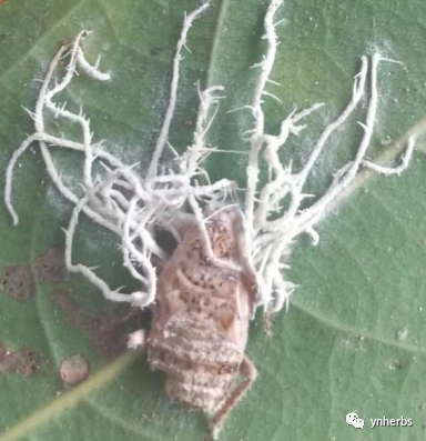 640 (2).png 640 (2).png