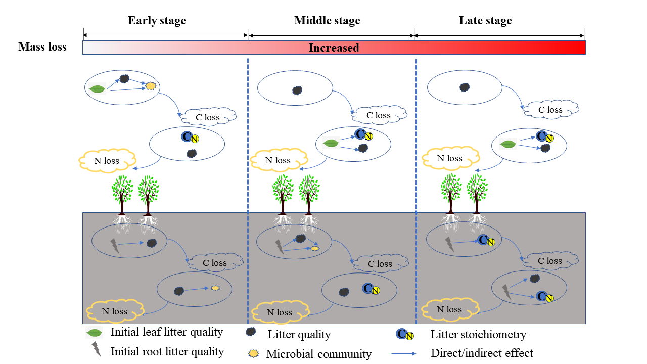 590381214EB5A320C1EF994A5E1_1B826C93_1D8B6.png 590381214EB5A320C1EF994A5E1_1B826C93_1D8B6.png