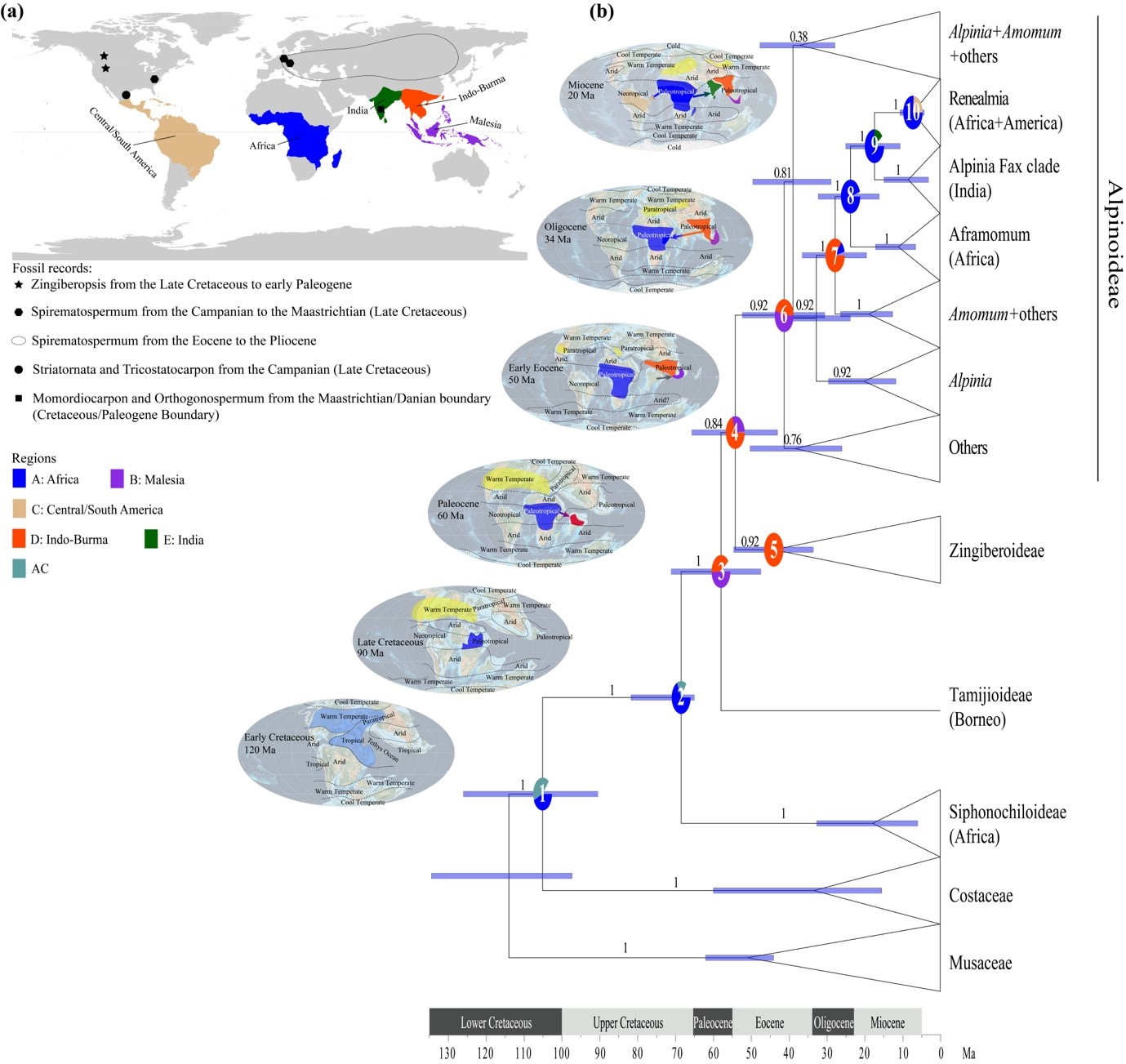 63101152E94A28C1CF2A166EEC1_08355366_3F2E7.jpg 63101152E94A28C1CF2A166EEC1_08355366_3F2E7.jpg