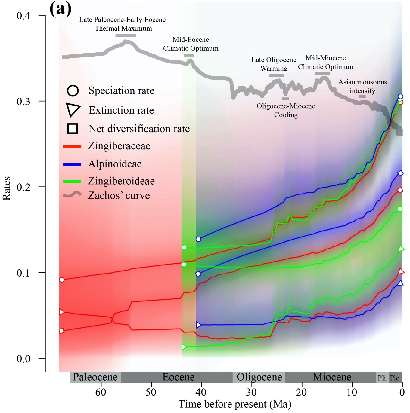 C7A498F028A2DAF468ABF971F20_8CB25253_3A54A.jpg C7A498F028A2DAF468ABF971F20_8CB25253_3A54A.jpg