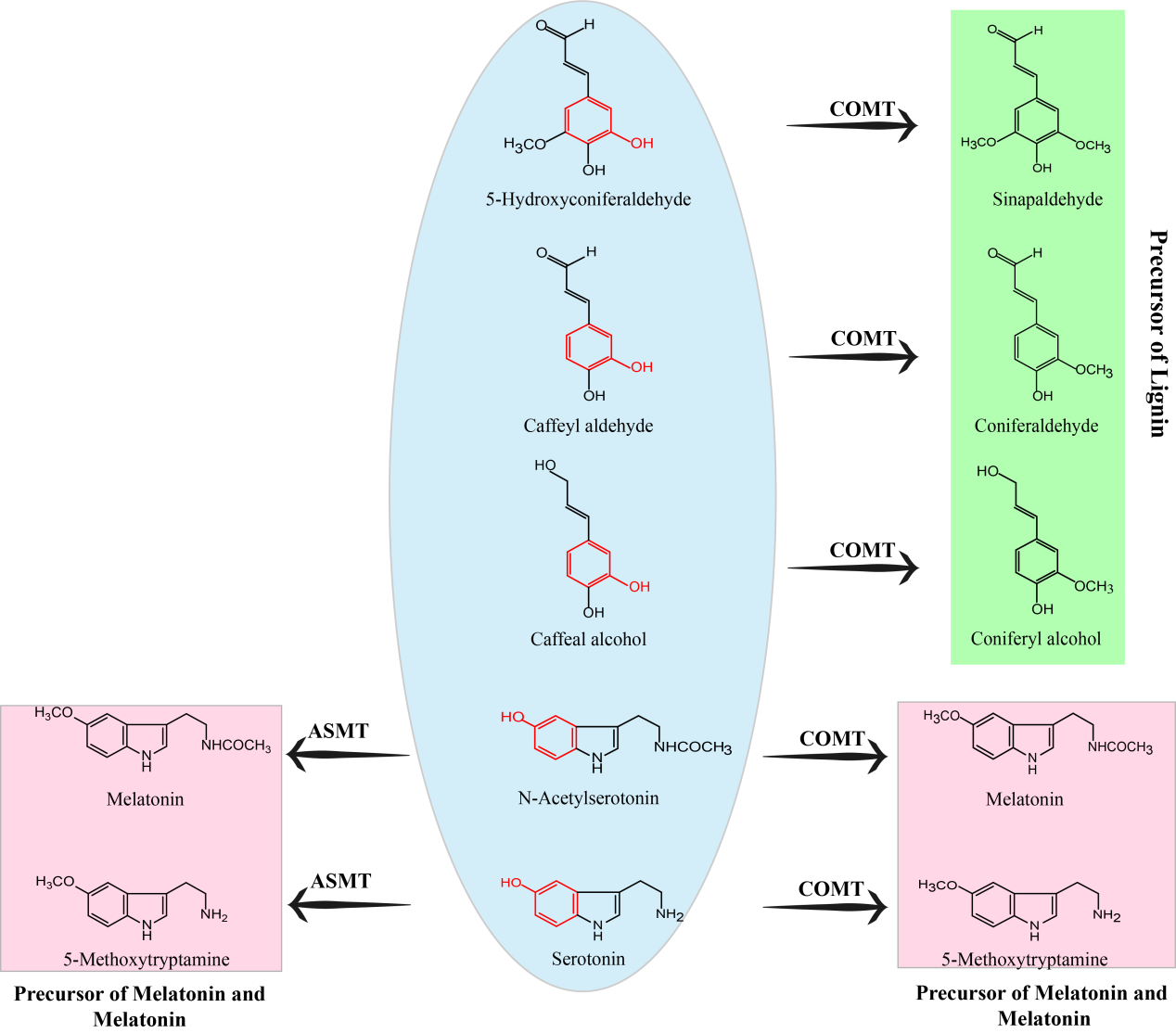 77A675F9DB24E6C2124C3534F34_9EA265FE_322B1.png 77A675F9DB24E6C2124C3534F34_9EA265FE_322B1.png