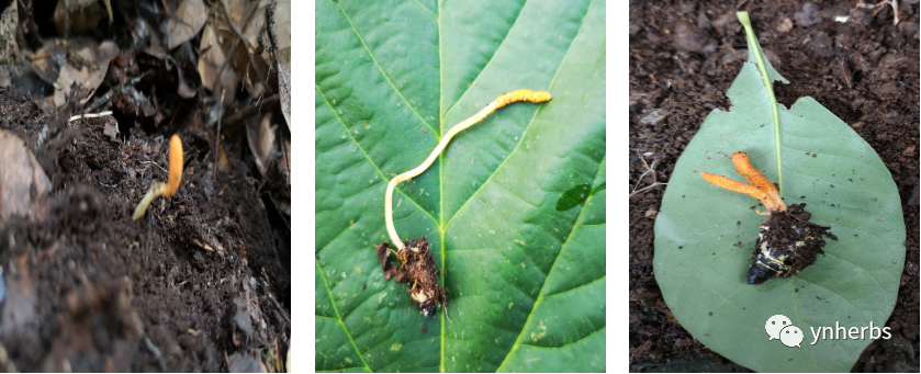 640 (2).png 640 (2).png