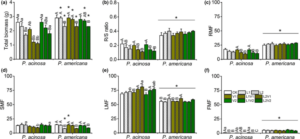 2C03545E71F3220537FFE48394B_D93B16EA_54DA6.png 2C03545E71F3220537FFE48394B_D93B16EA_54DA6.png