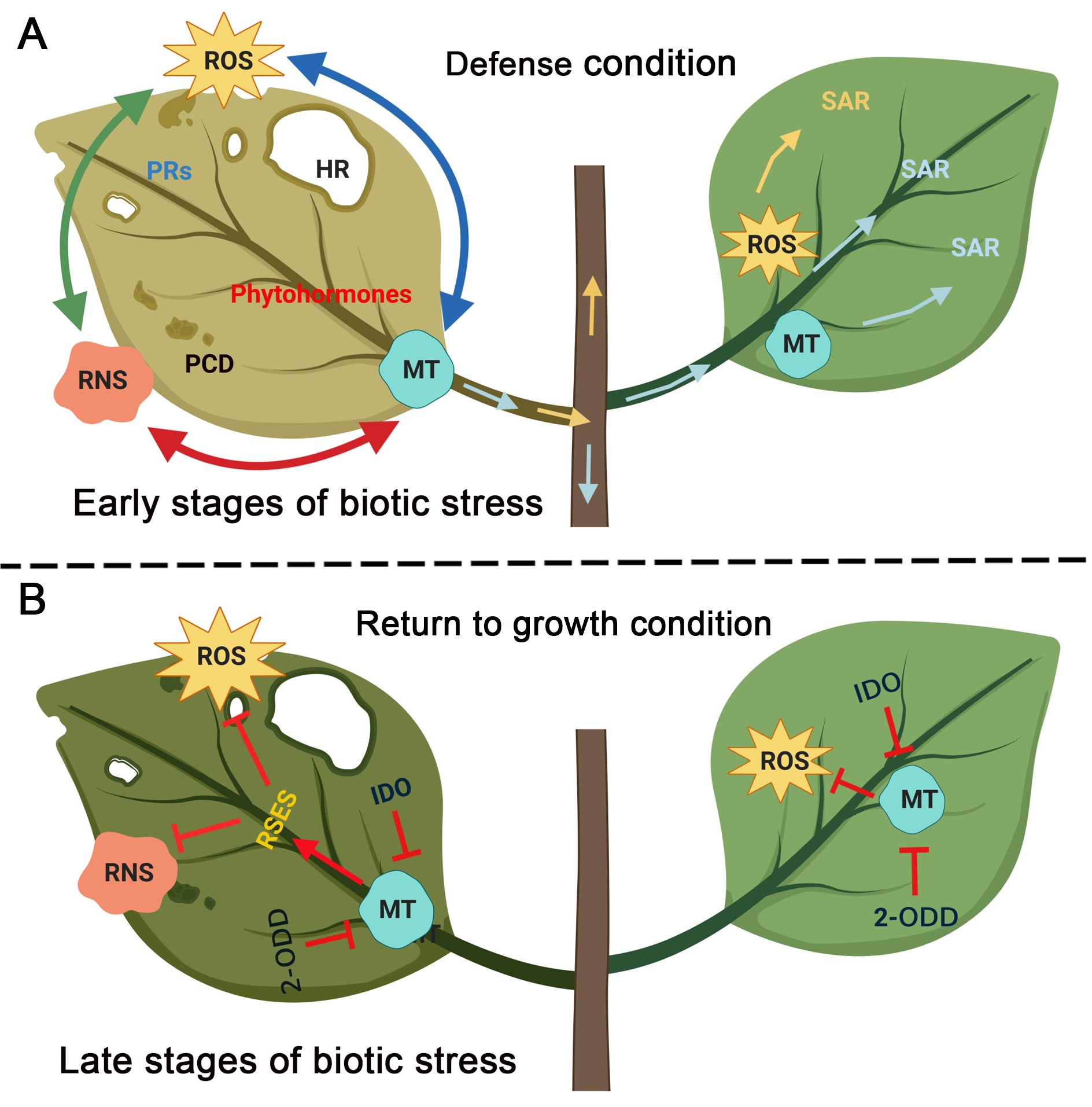 E2E830FE997D0A339F46DA8FADE_3FE4DA2A_5407F.jpg E2E830FE997D0A339F46DA8FADE_3FE4DA2A_5407F.jpg