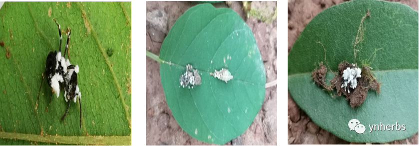 640 (9).png 640 (9).png