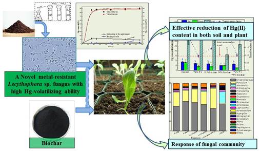 1BF3A2A6FB4FB3D078A7C64D4A3_4088A623_8027.jpg 1BF3A2A6FB4FB3D078A7C64D4A3_4088A623_8027.jpg