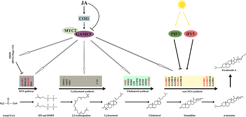 ECEA757A87F9A0D107EE8573CB9_73C7E814_C52AC.jpg ECEA757A87F9A0D107EE8573CB9_73C7E814_C52AC.jpg