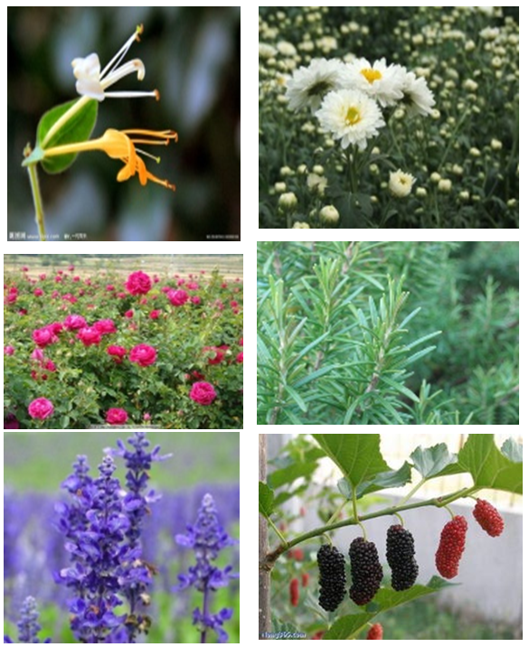 36C36FAE59468433250FD39D5FF_33AAE78A_113B4A.png 36C36FAE59468433250FD39D5FF_33AAE78A_113B4A.png