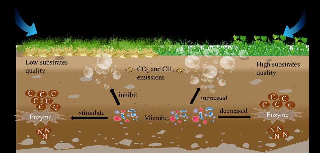 B3D26035C1A8C725B91E7B5C63A_AA355FE0_E7B8.png B3D26035C1A8C725B91E7B5C63A_AA355FE0_E7B8.png