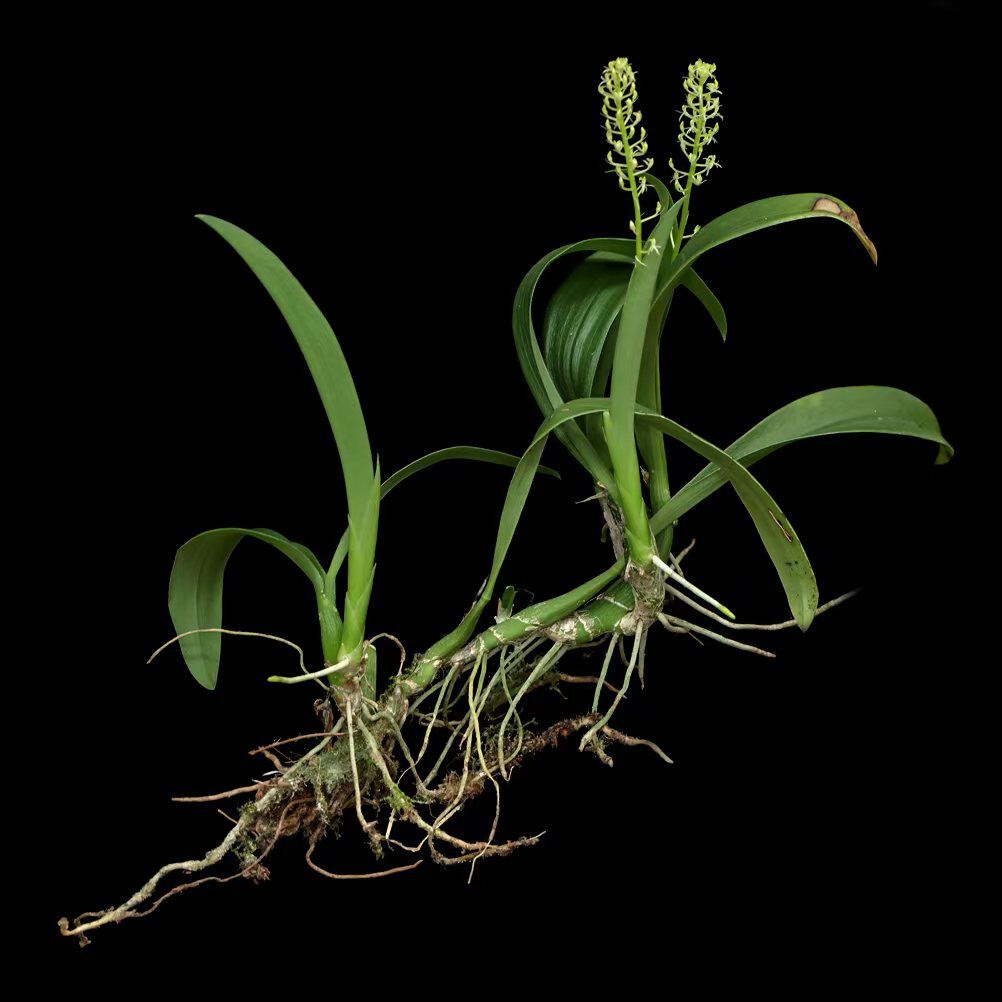 微信图片_20241212094458.jpg 微信图片_20241212094458.jpg